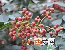 花椒水可以泡脚吗?花椒水泡脚有什么好处