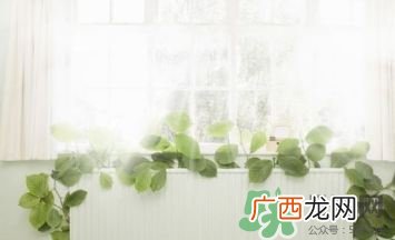 开暖气可以除湿吗?开暖气能除甲醛吗?