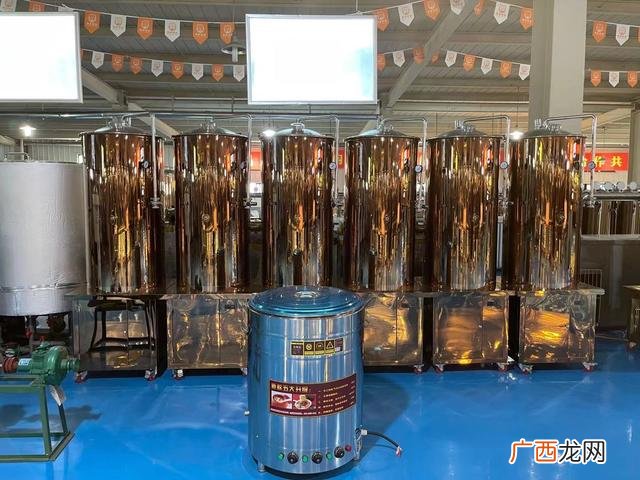 精酿啤酒500升设备价格 精酿啤酒厂家