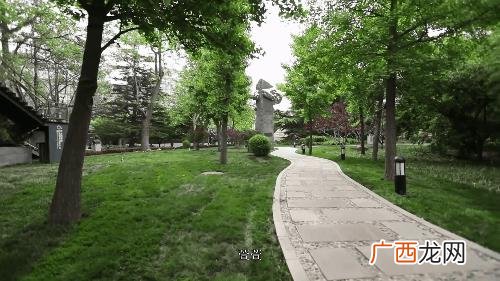 个人无利息贷款,大学生可以贷无息款吗