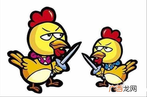 鸡肋是什么意思？鸡肋这一词出自于哪里