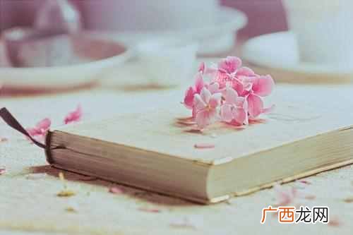 释然是什么意思?人生中所有的苦难与挫折,最