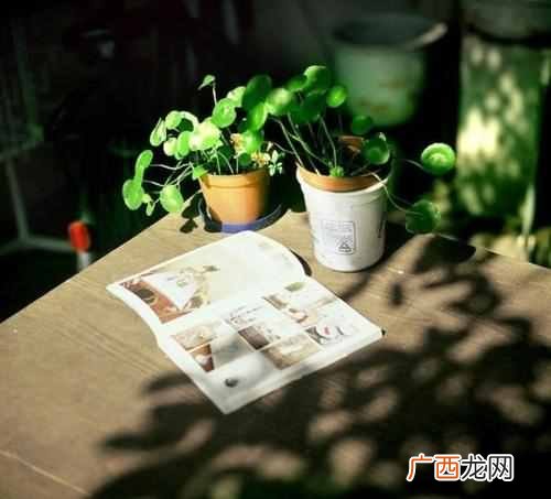 释然是什么意思?人生中所有的苦难与挫折,最