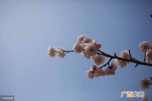 我今年30岁了，还没等到执子之手与子偕老的那个