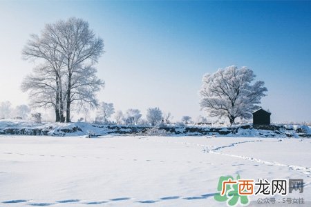 下雪高铁会停运吗？下雪天会影响高铁吗？