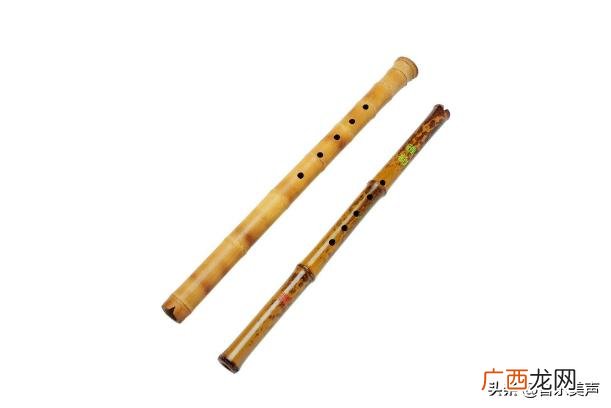 零基础乐器哪个好学,女生零基础学什么乐器好