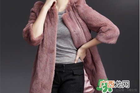 冬天穿羽绒服暖和还是貂皮暖和?貂皮和羽绒服哪个暖和?
