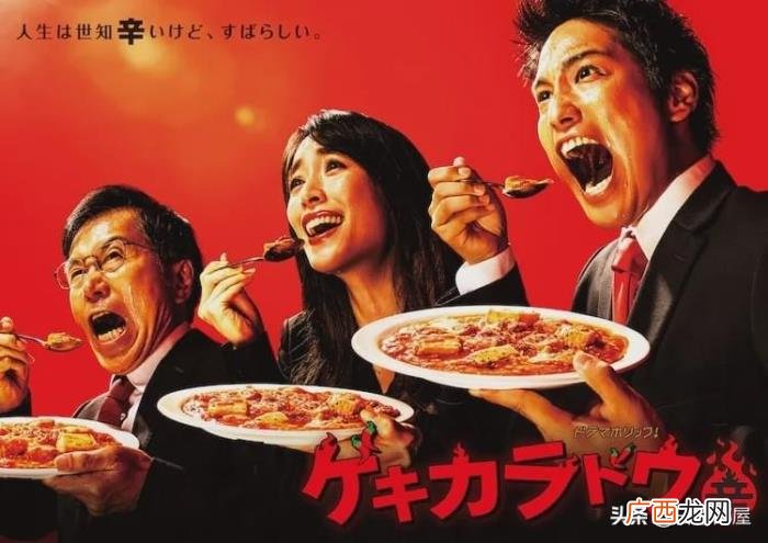 适合深夜追的日剧，深夜档日剧也好看