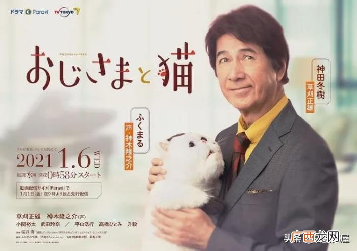 适合深夜追的日剧，深夜档日剧也好看