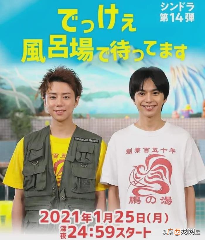 适合深夜追的日剧，深夜档日剧也好看