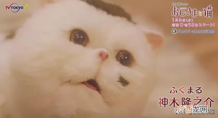 适合深夜追的日剧，深夜档日剧也好看