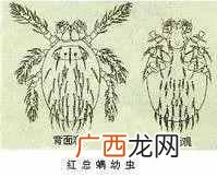 别来无恙是什么意思？古时候的别来无恙是啥意