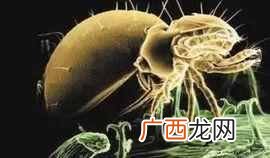 别来无恙是什么意思？古时候的别来无恙是啥意