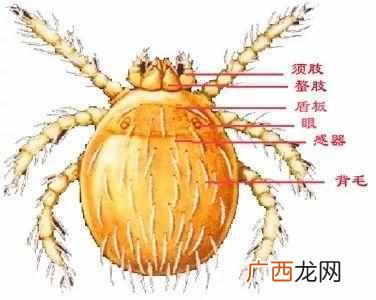 别来无恙是什么意思？古时候的别来无恙是啥意