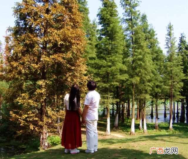 美国今天什么节日？国际妇女节有什么深刻含义