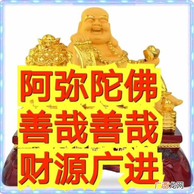 阿弥陀佛善哉善哉是什么意思？2019猪事顺利