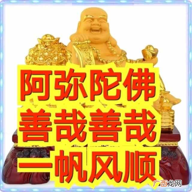 阿弥陀佛善哉善哉是什么意思？2019猪事顺利
