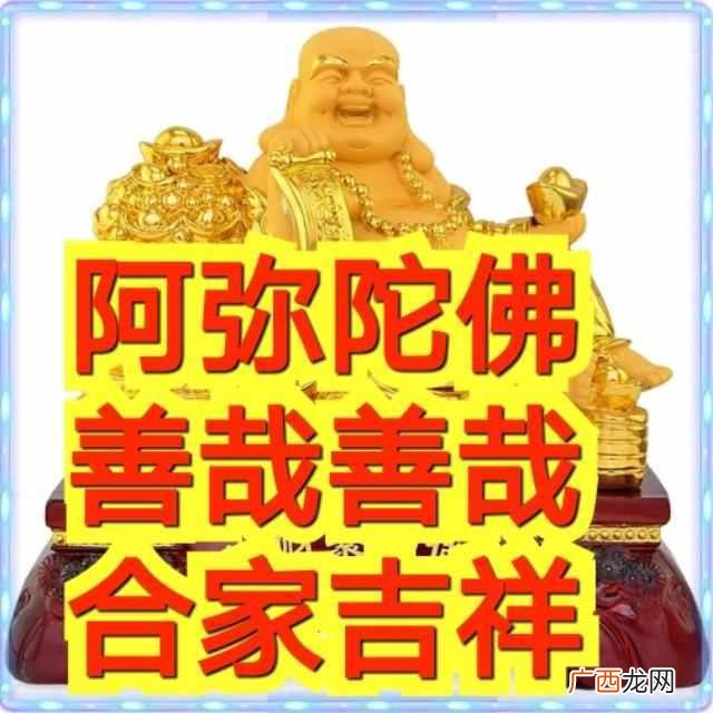 阿弥陀佛善哉善哉是什么意思？2019猪事顺利