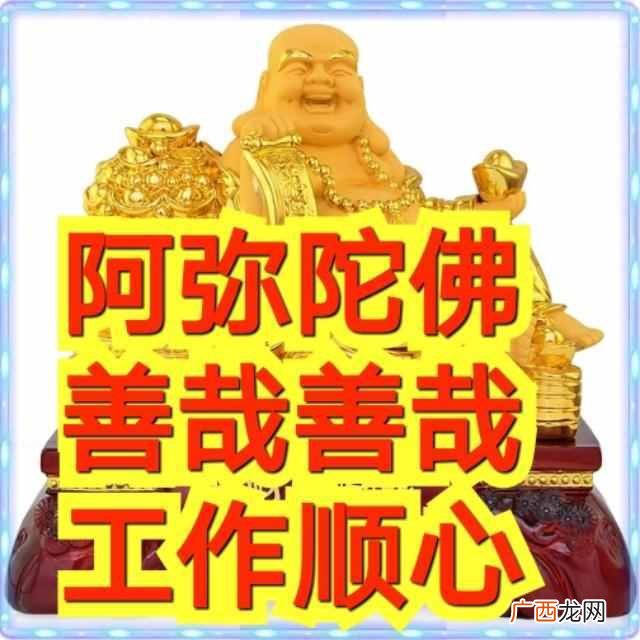 阿弥陀佛善哉善哉是什么意思？2019猪事顺利