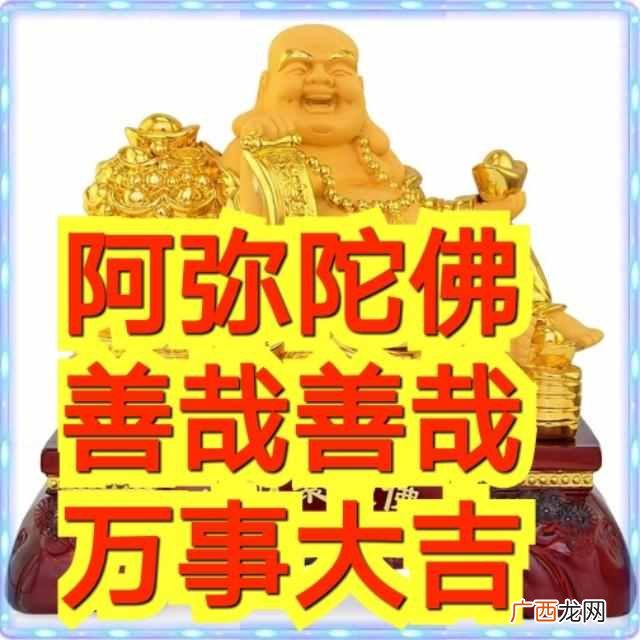 阿弥陀佛善哉善哉是什么意思？2019猪事顺利