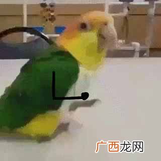 违和感是什么意思？它的内涵你可能不知道