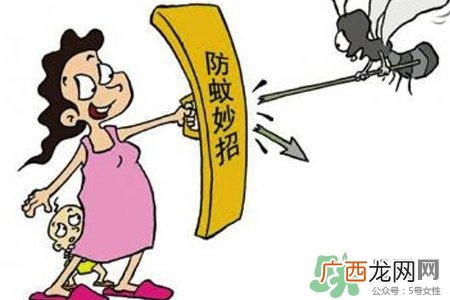冬天为什么会有蚊子？冬天家里有蚊子怎么办？