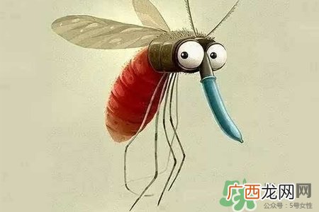 冬天为什么会有蚊子？冬天家里有蚊子怎么办？