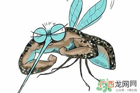 冬天为什么会有蚊子？冬天家里有蚊子怎么办？