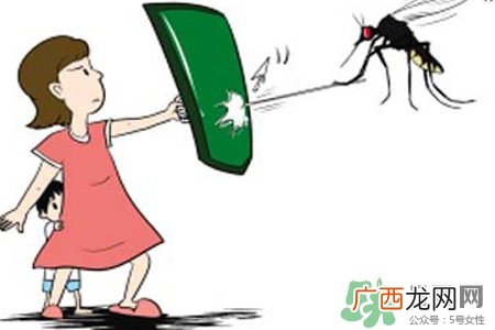 冬天为什么会有蚊子？冬天家里有蚊子怎么办？