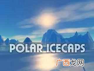 bear是什么意思？bear最常见的几个意思