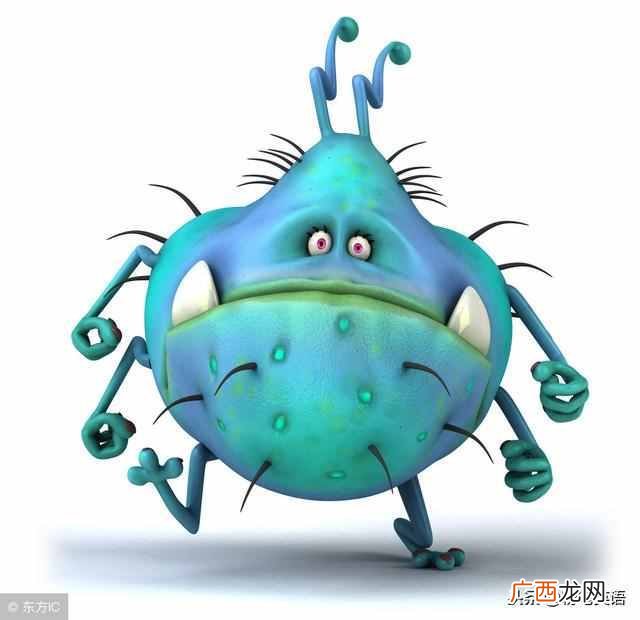 bug什么意思？它的意思有几个，你了解么