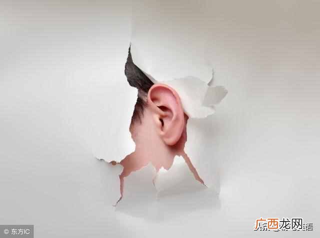 bug什么意思？它的意思有几个，你了解么
