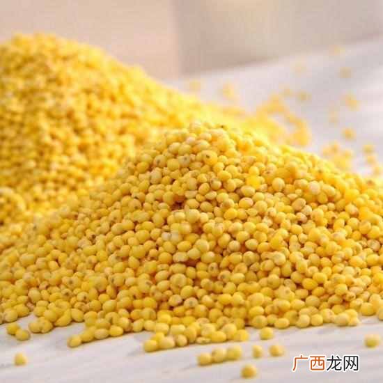 五谷是哪五谷？快来涨涨知识吧