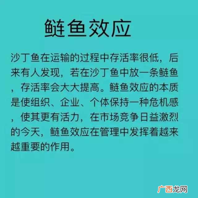 蝴蝶效应是什么意思？所有的效应的解释都在这