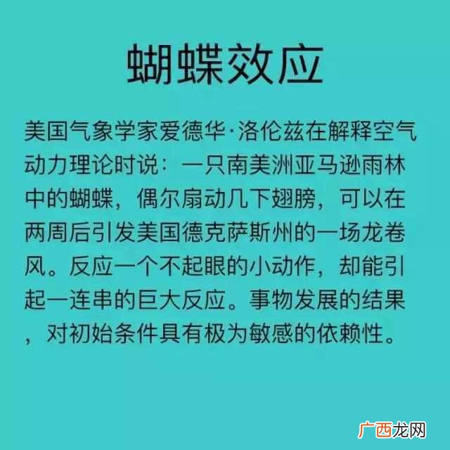 蝴蝶效应是什么意思？所有的效应的解释都在这