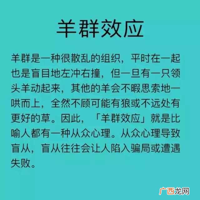 蝴蝶效应是什么意思？所有的效应的解释都在这