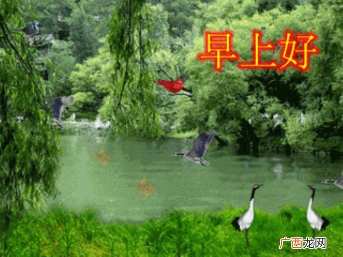 有关生日祝福的短信好句 生日快乐短信