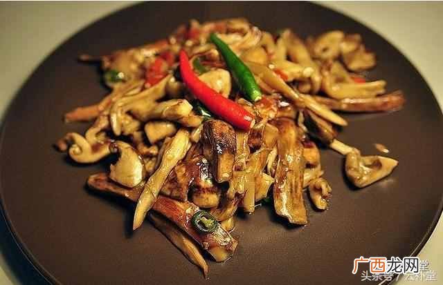 松茸怎么吃最好？松茸做法大全分享（每种都非