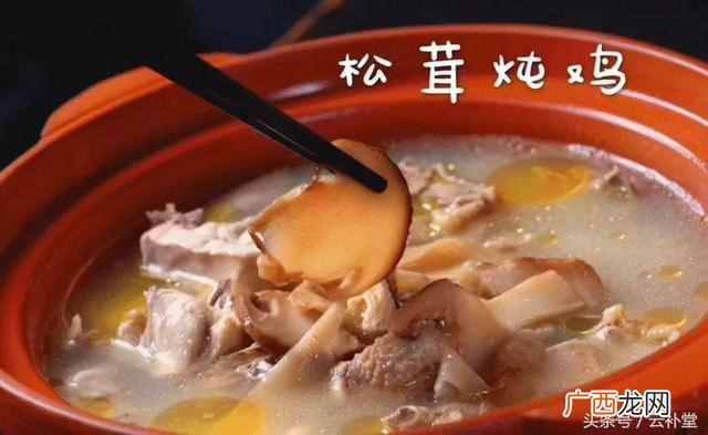 松茸怎么吃最好？松茸做法大全分享（每种都非