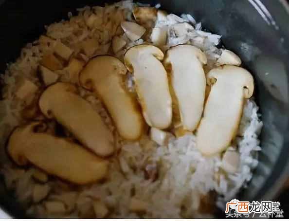 松茸怎么吃最好？松茸做法大全分享（每种都非