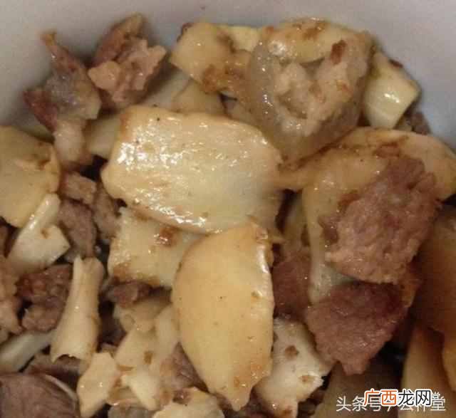 松茸怎么吃最好？松茸做法大全分享（每种都非