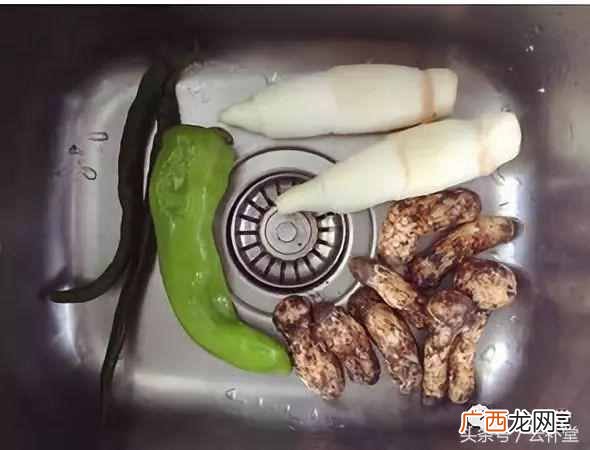 松茸怎么吃最好？松茸做法大全分享（每种都非