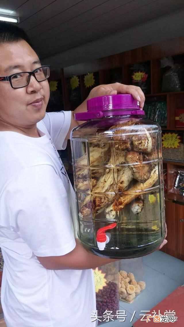 松茸怎么吃最好？松茸做法大全分享（每种都非