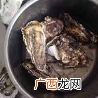 海蛎子怎么吃最好最有营养？超简单的做法步骤