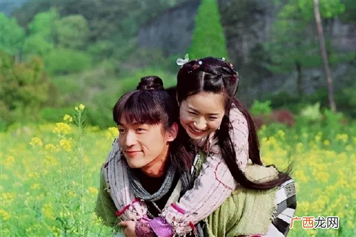 胡歌主演的电视剧，胡歌在2010年前出演过的几部电视剧