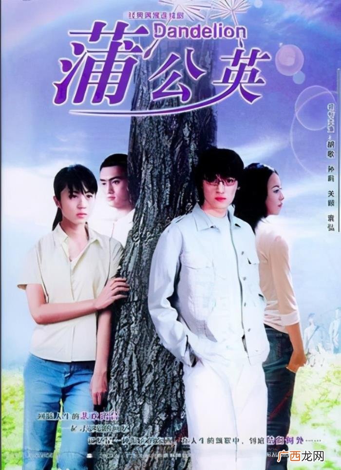 胡歌主演的电视剧，胡歌在2010年前出演过的几部电视剧