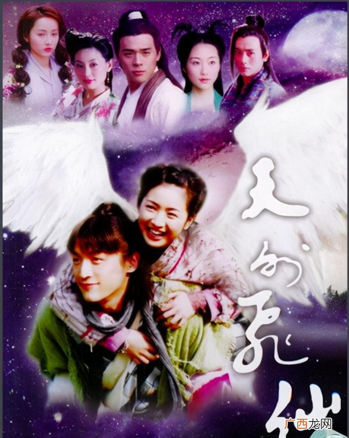 胡歌主演的电视剧，胡歌在2010年前出演过的几部电视剧