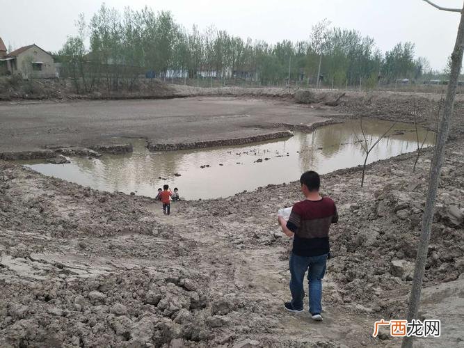 浅水适合养殖什么鱼 浅水塘养殖什么好