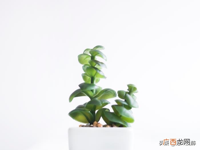 女朋友经常提分手是什么原因，女生总说分手的原因