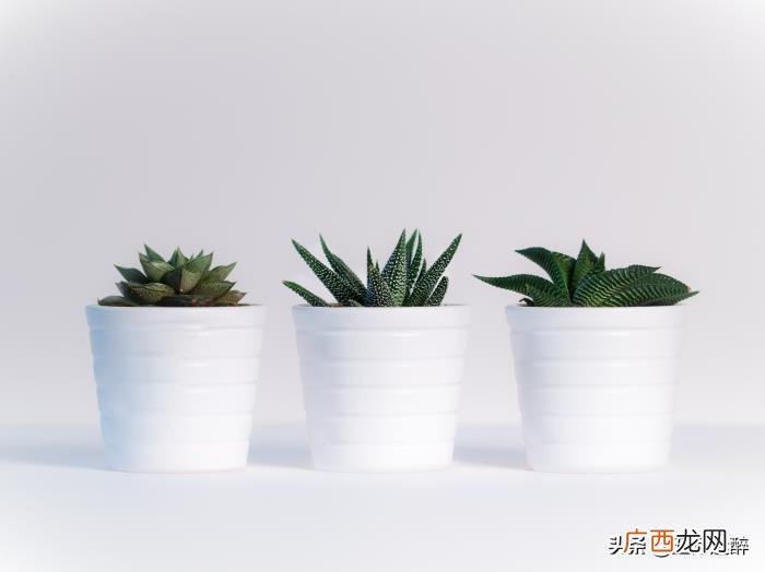 女朋友经常提分手是什么原因，女生总说分手的原因